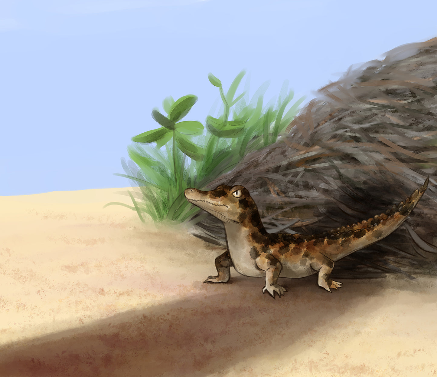 Lucy The Crocodile